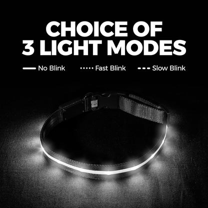 LED Dog Collar - USB Rechargeable - Waterproof 