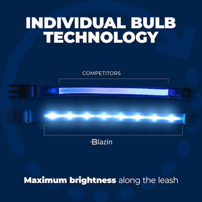 LED Dog Collar - USB Rechargeable - Waterproof 