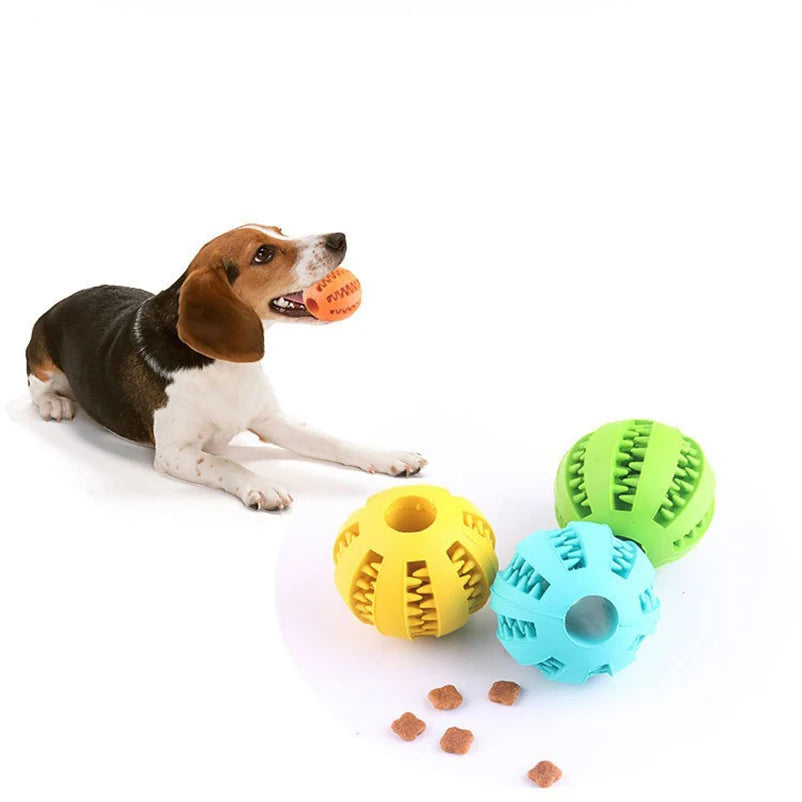Treat Chew Ball