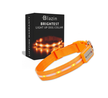 Blazin LED Dog Collar