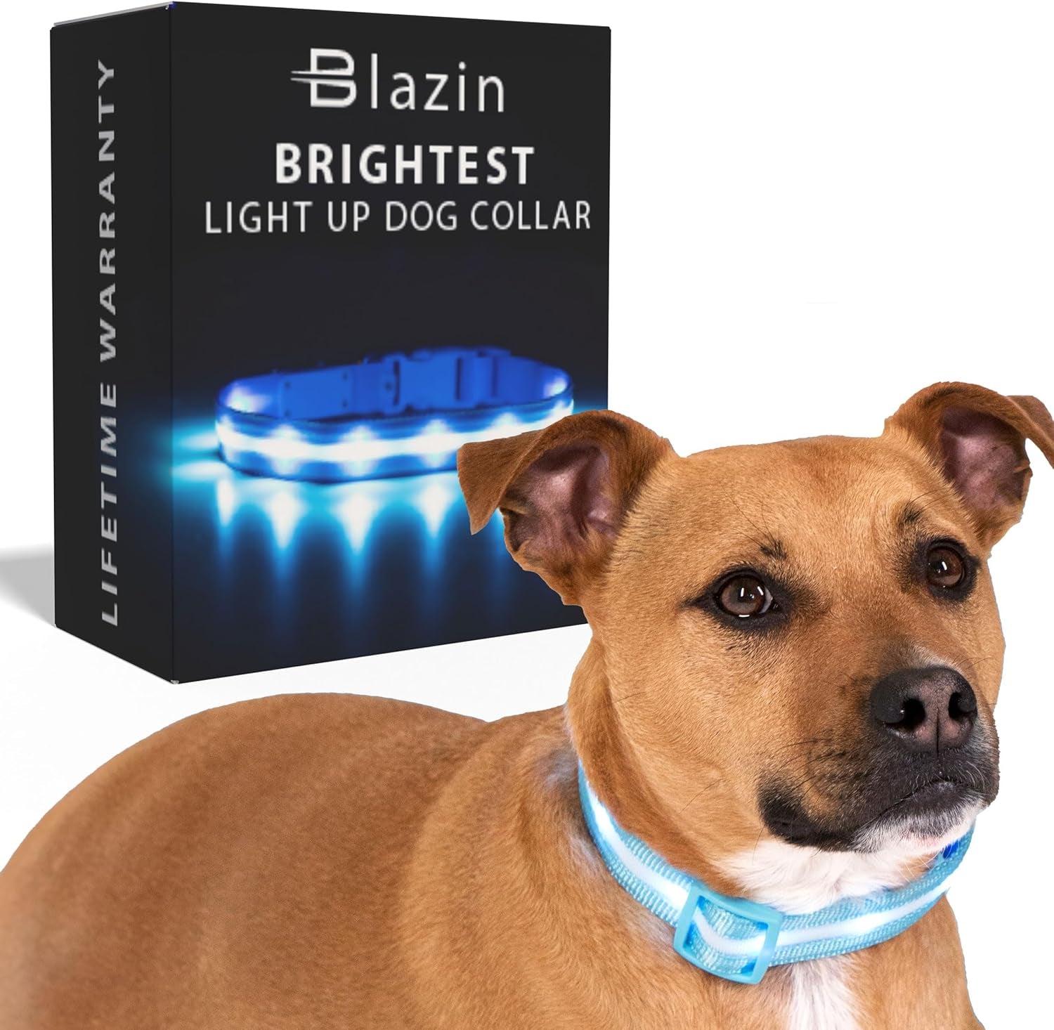 LED Dog Collar - USB Rechargeable - Waterproof 